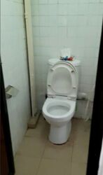 Indus Garden (D3), Retail #480163471